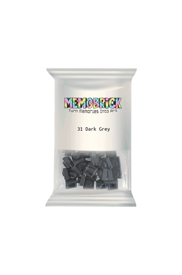 Bag of Bricks - Dark Grey 31 - Memobrick