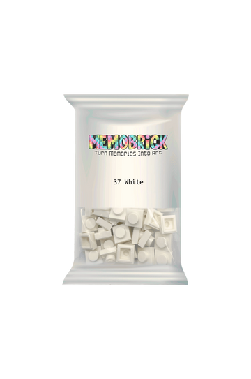 Bag of Bricks - White 37 - Memobrick